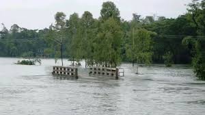 নদ-নদীর পানি কমলেও পানিবন্দি লাখো মানুষ